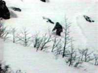 /conspiraciones/up/old/w49/yeti_3_28_11_2008.jpg